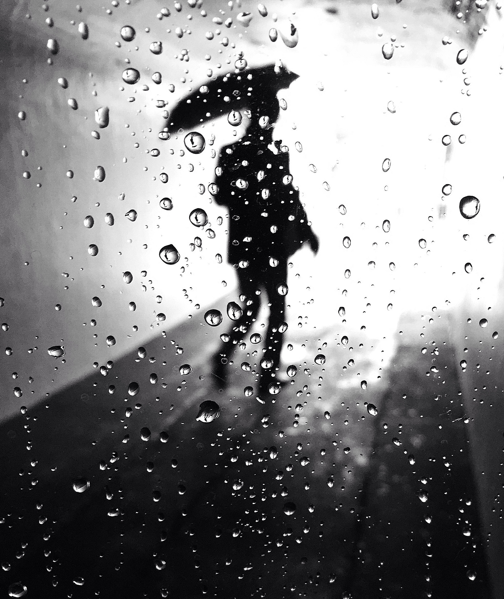 @laurence Bouchard Untitled